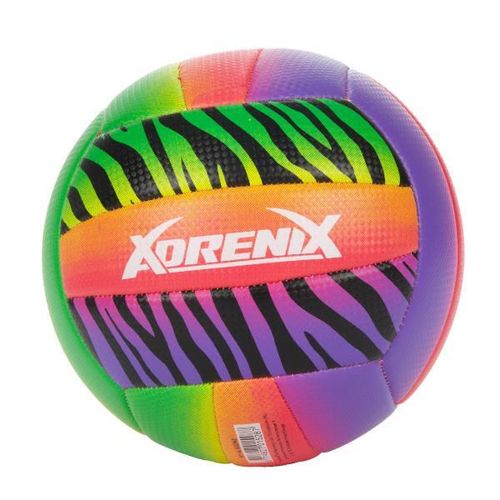 купить Мяч Toi-Toys 62234Z Minge de volei de plajă №5 Adrenix , 4 modele в Кишинёве 