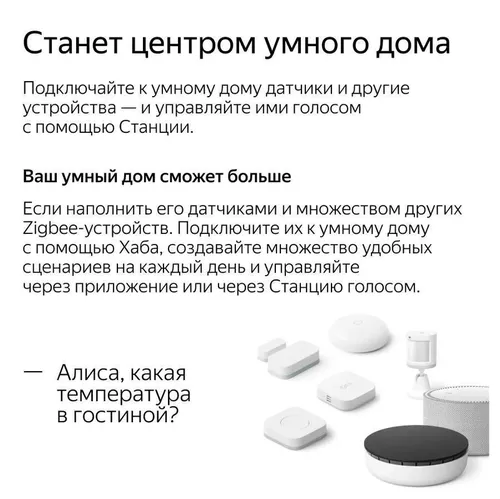 cumpără Boxă portativă Bluetooth Yandex YNDX-00020G Alisa Station Mini Gray în Chișinău 