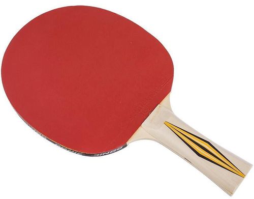 купить Теннисный инвентарь Donic 3214 Paleta tenis masa TOP TEAM Level 300/705031 в Кишинёве 