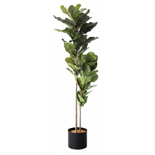 cumpără Plantă artificială Deco Arbore Ficus lyrata 200 în Chișinău 