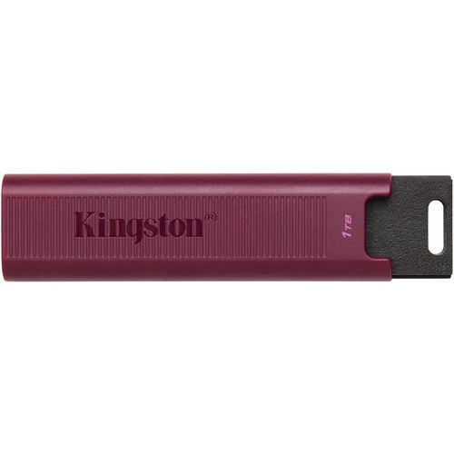 cumpără USB flash memorie Kingston DTMAXA/1TB în Chișinău 