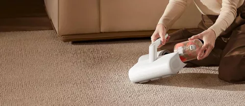 cumpără Aspirator vertical cu fir Xiaomi Dust Mite Vacuum Cleaner 2 EU în Chișinău 