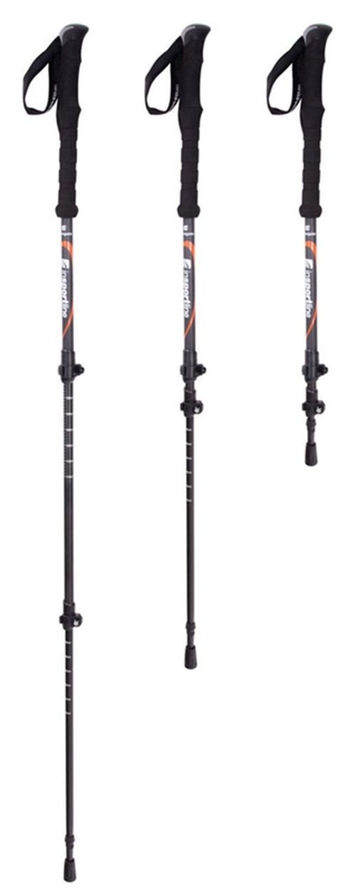 cumpără Bețe pentru trekking inSPORTline 13586 Baston treking IN23356 (2 buc) 66-140cm Montgato în Chișinău 