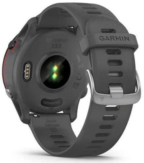 cumpără Ceas inteligent Garmin Forerunner 255 Slate Grey (010-02641-10) în Chișinău 