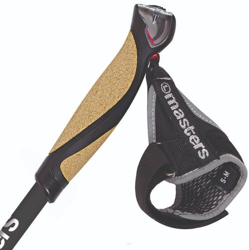 cumpără Bețe pentru trekking Masters NW PHYSIQUE 0.6 Carbon 130cm (01N0219 130) în Chișinău 