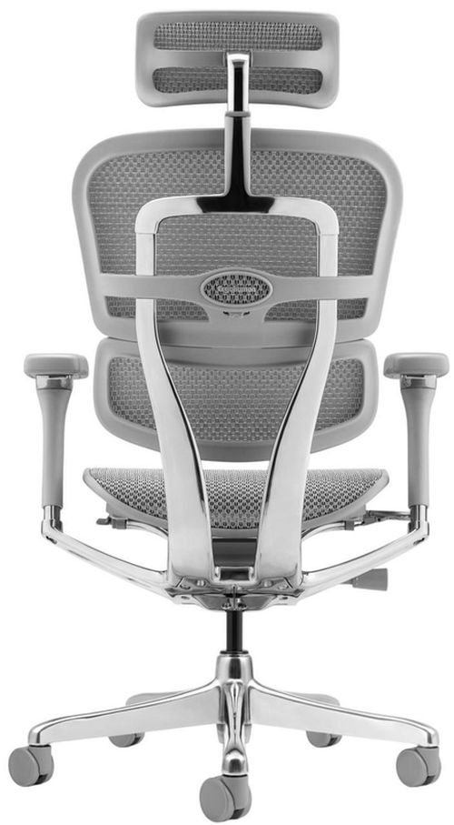 купить Офисное кресло ART Ergohuman Elite 2 Natural T-168-B2 EHE2-AG-HAM-5D-L в Кишинёве 