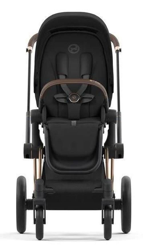 купить Аксессуар для колясок Cybex 521002337 Cadru pentru carucior Priam 4.0 Platinum Rosegold в Кишинёве 