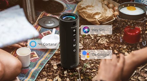 cumpără Boxă portativă Bluetooth Tronsmart T6 Pro Black (448105) în Chișinău 