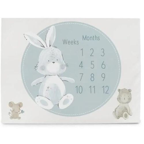 cumpără Covoraș de joacă Ceba Baby W-309-000-730 Covoras Milestone Mat Basic Friends, 92x72cm în Chișinău 