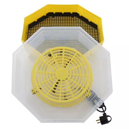 купить Товар для животных Technoworker Incubator electric cu termometru CLEO 5T/INC4 (84362100) в Кишинёве 