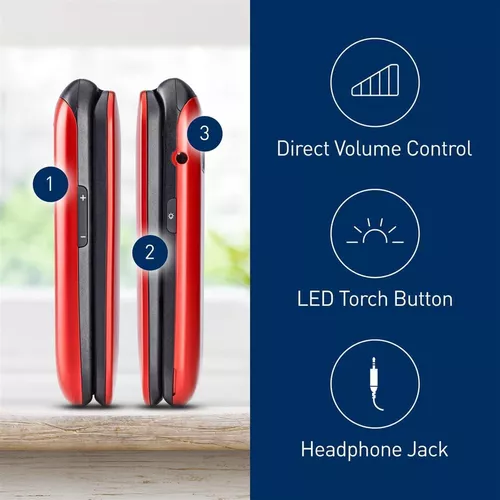 cumpără Telefon mobil Panasonic KX-TU550EXR în Chișinău 