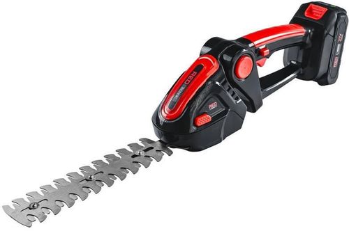купить Ножницы садовые Red Technic RTANTK0171 Foarfeca de gradina baterie 2in1 21V/2x2AH в Кишинёве 