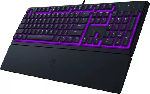 купить Игровая клавиатура Razer RZ03-04470800-R3R1 Membrane Ornata V3 X RU Layout в Кишинёве 