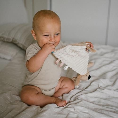 cumpără Jucărie de pluș BabyOno 1559 Koala Charlie, jucarie moale batista în Chișinău 