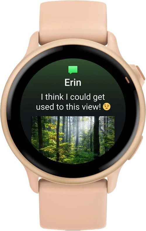 купить Смарт часы Garmin Vivoactive 6 Pink Dawn / Pink Dawn Metallic в Кишинёве 