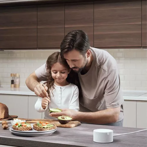 cumpără Boxă portativă Bluetooth Yandex YNDX-00021G Alisa Station Mini Gray în Chișinău 