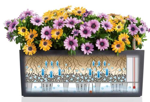 купить Цветочный горшок Lechuza Balconera Color 50 All In One Slate в Кишинёве 