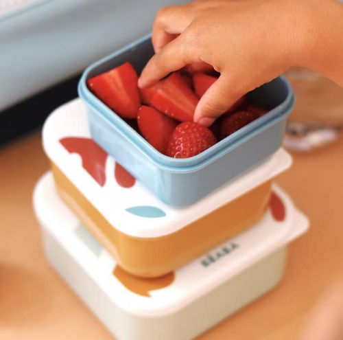 cumpără Container alimentare Beaba B913589 Set 3 caserole Playful în Chișinău 