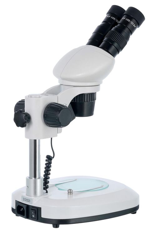 cumpără Microscop Levenhuk 4ST Binocular Microscope în Chișinău 