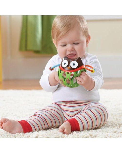 Погремушка Skip Hop Explore & More Arici 