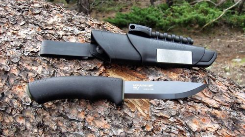 купить Нож походный MoraKniv Survival black в Кишинёве 