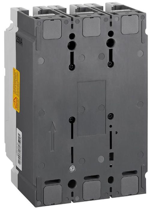 купить Автомат дифференциальный Schrack Technik MX225431 Автоматический выключатель типа A, 3 полюса, 36 кА, 250 А в Кишинёве 