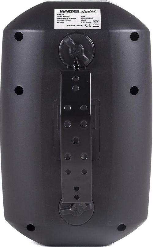 купить Профессиональная колонка Master Audio XB530 PA Exterior/Interior black в Кишинёве 