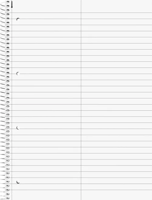 cumpără Carnet Brunnen Notebook College-Block A4 pe spirala pentru dicționar, 50 de foi 90 g/m2 coperta Aur Metallic, 2 coloane în Chișinău 