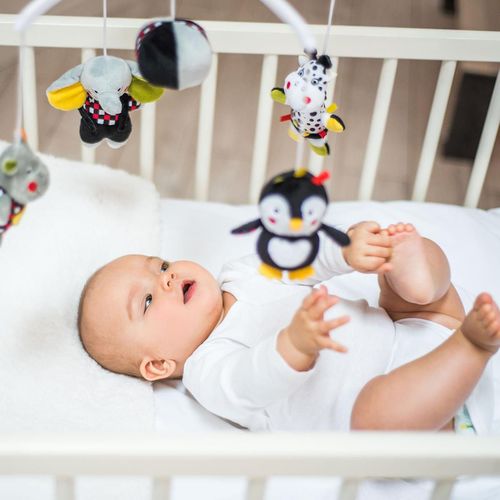 купить Карусель для кроватки BabyOno 636 Carusel muzical universal DREAM TEAM в Кишинёве 