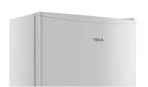 купить Холодильник однодверный Teka RSR 10138 EU в Кишинёве 