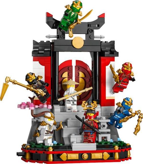купить Конструктор Lego 71866 Ninja Character Display 15th Anniversary в Кишинёве 