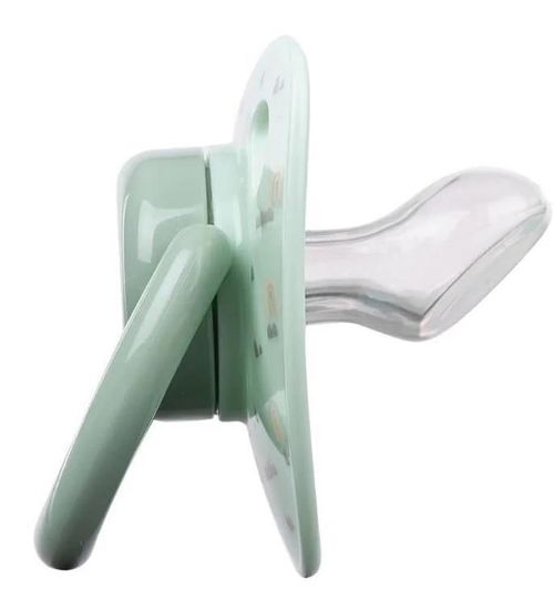cumpără Suzetă Kikka Boo 31303010045 Suzete ortodontice din silicon Savanna Mint (6-18 luni), 2 buc. în Chișinău 