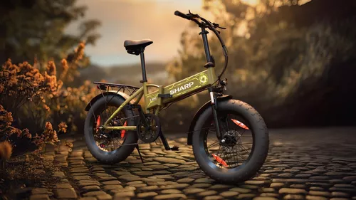 cumpără Bicicletă Sharp BK-FS08E-GY în Chișinău 