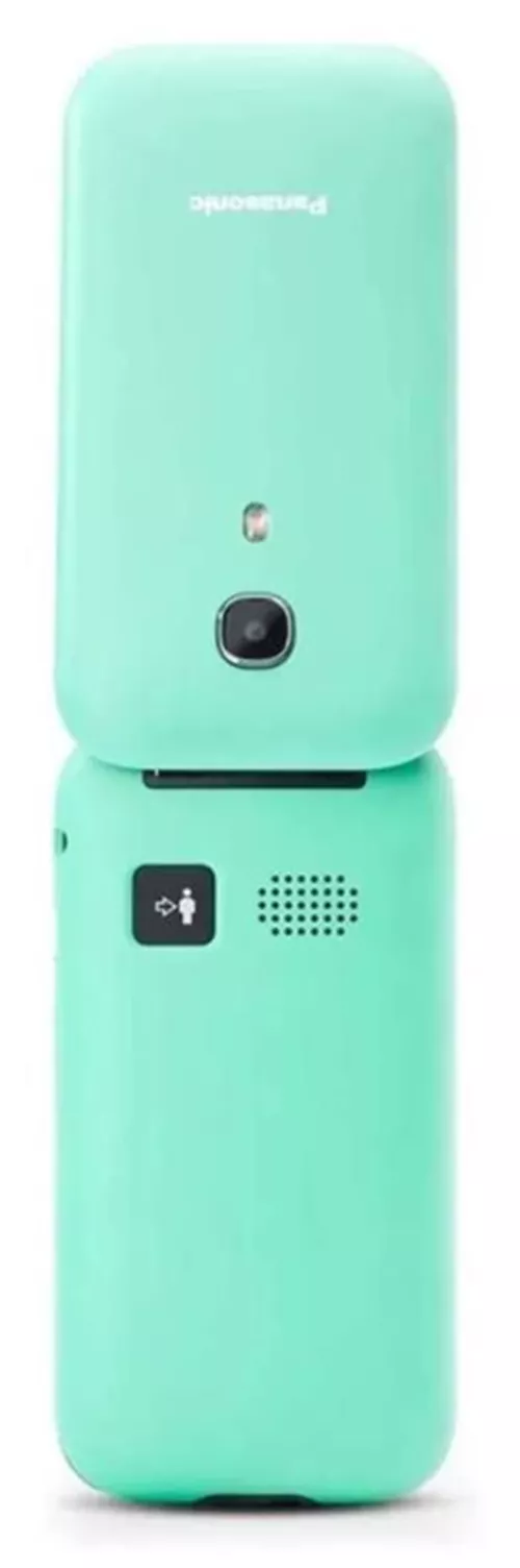 cumpără Telefon mobil Panasonic KX-TU400EXC în Chișinău 