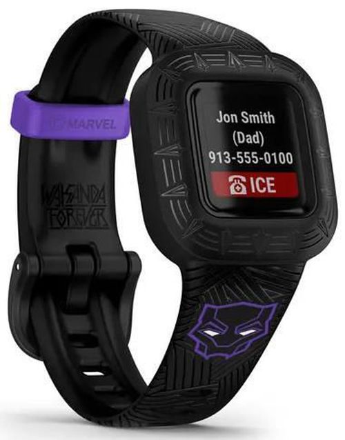 купить Детские умные часы Garmin vívofit jr. 3 (010-02441-14) в Кишинёве 