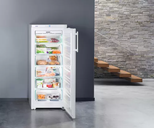 купить Морозильник Liebherr GNP 2313 в Кишинёве 