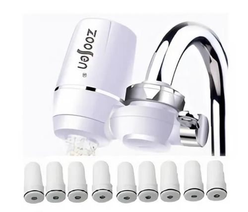 cumpără Filtru de curgere pentru apă MPN 24400 Filtru de apa dublu 10", inox, cu robinet în Chișinău 