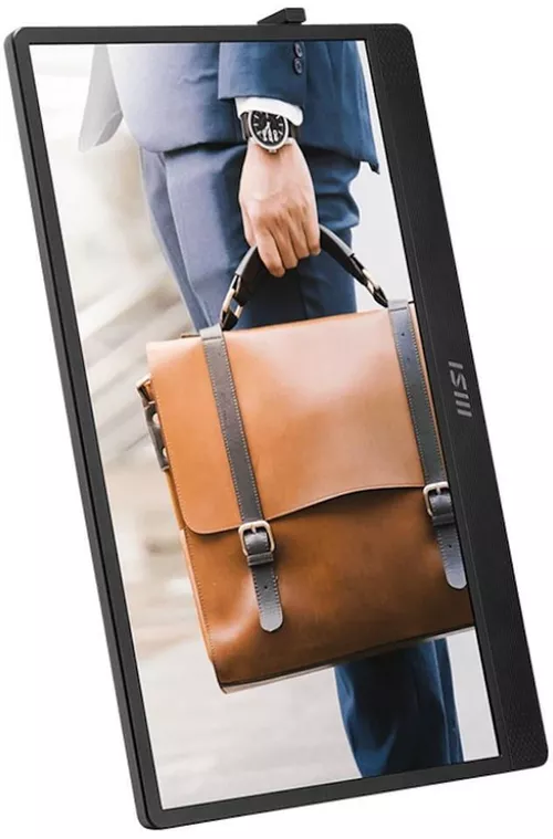 cumpără Monitor MSI PRO MP161 E2U Portable Monitor Black în Chișinău 