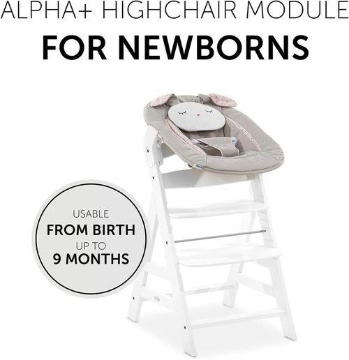 cumpără Leagăn pentru bebeluși Hauck Alpha Bouncer 2in1 Powder Bunny Beige Bloom în Chișinău 