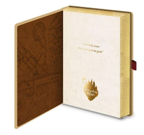 cumpără Carnet Pyramid International SR2501426 HARRY POTTER (MARAUDERS MAP) LUXE SLIDER în Chișinău 