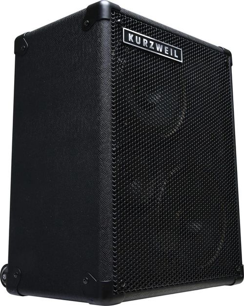 cumpără Boxă portativă Bluetooth Kurzweil KST300A în Chișinău 