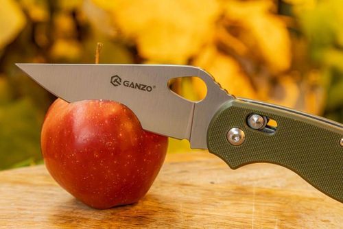 купить Нож походный Ganzo G729-GR в Кишинёве 