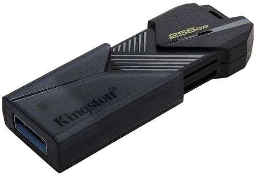 cumpără USB flash memorie Kingston DTXON/256GB în Chișinău 