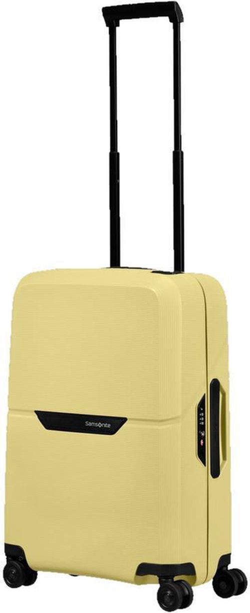 купить Чемодан Samsonite Magnum Eco (139845/1661) в Кишинёве 