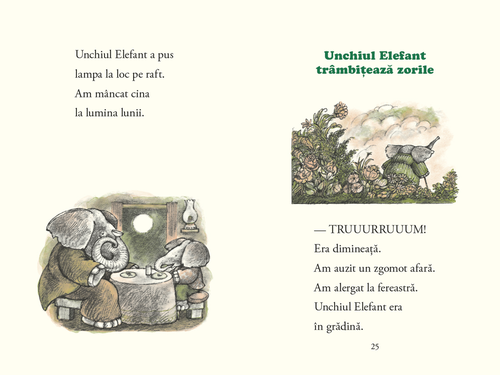 cumpără Unchiul Elefant de Arnold Lobel în Chișinău 