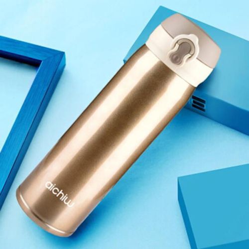 купить Термос для напитков Aichiw AI-D69A 450 ML, Gold в Кишинёве 