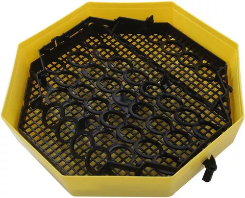 купить Товар для животных Technoworker Incubator cu dispozitiv de intoarcere oua si termometru CLEO 5DT/ INC3 (84362100) в Кишинёве 