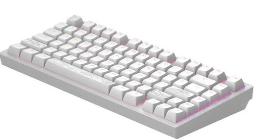 cumpără Tastatură gaming Dark Project ALU Terra Nostra White în Chișinău 
