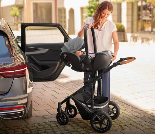 купить Автокресло Britax-Römer Baby-Safe 5z2 Frost Grey (2000039472) в Кишинёве 