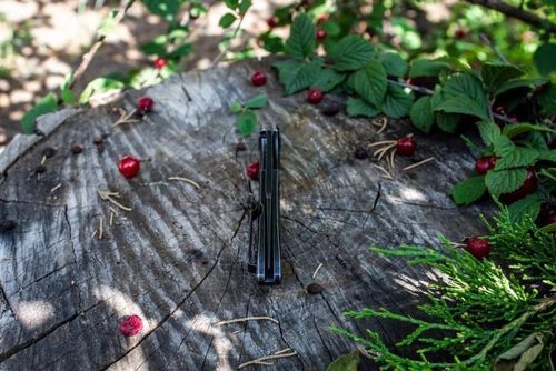 купить Нож походный Ruike P128-SB в Кишинёве 